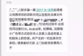 龙安为什么选择专业追讨公司来处理您的债务纠纷？